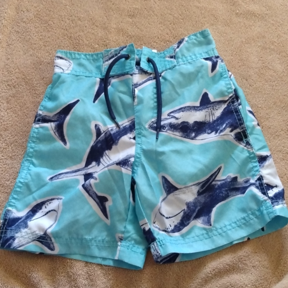Carter's Swim Trunks